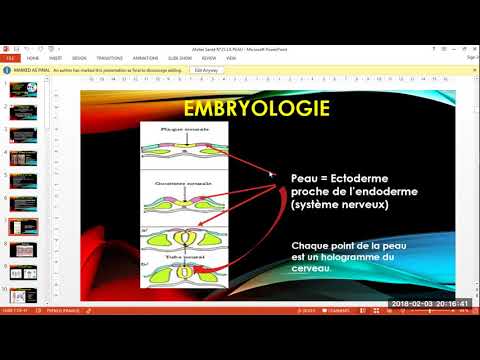2018 02 03 PM Public Teaching in French - Enseignements publics en français