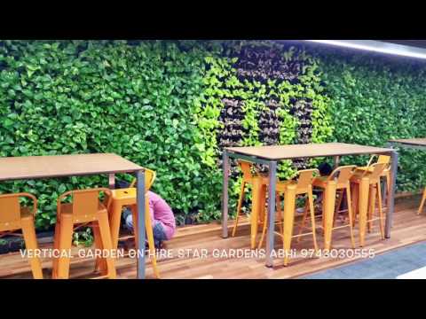 Acidic decorative plant service