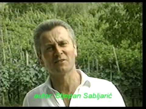 Stjepan Sabljarić Draganići