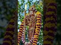 Thiruparankundram Murugan WhatsApp Status