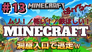 【マイクラ初心者】地下洞窟を大冒険！まさかの発見が！？【風ちゃんTV #13】【MineCraft】