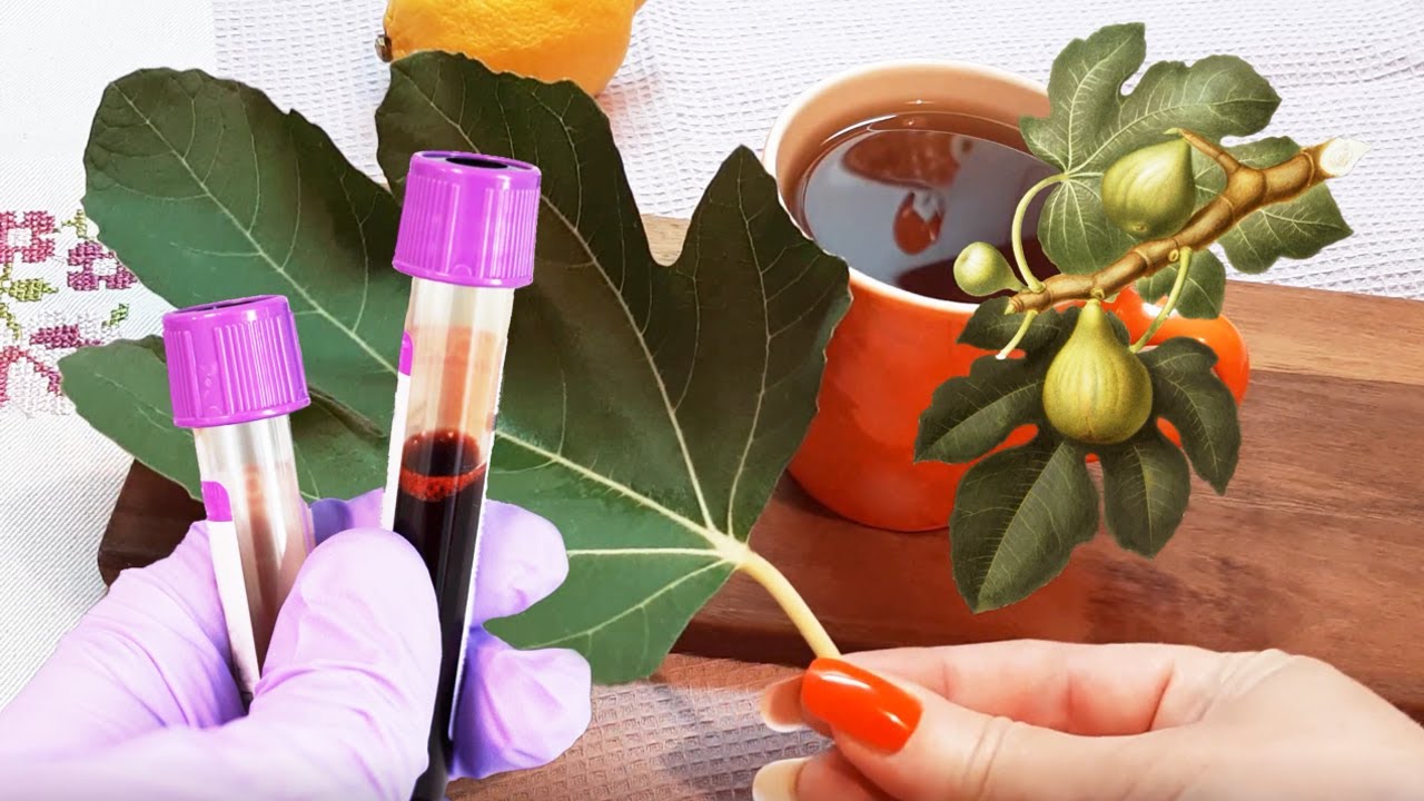 Why you should eat 2 fig leaves a day