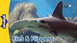 Cool Fins and Flippers | Manta Ray, Sea Horse, Shark, Whale, Manatee and Sea Lion | Little Fox