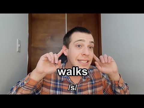 Video Sample