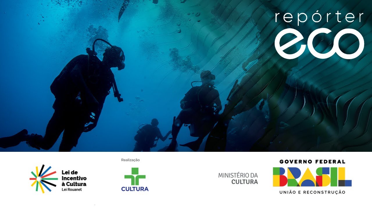 Repórter Eco | Cristian Dimitrius: mergulhador do ano | 02/06/2024
