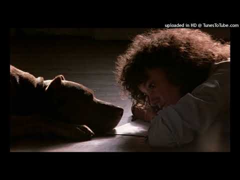 Shandi - He's a Dream