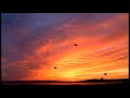 PBS Kids Sunrise