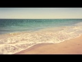 The Mermen - The Goodbye