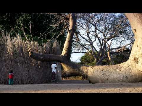 ATTA's Shannon Stowell Namibia Adventure in Caprivi