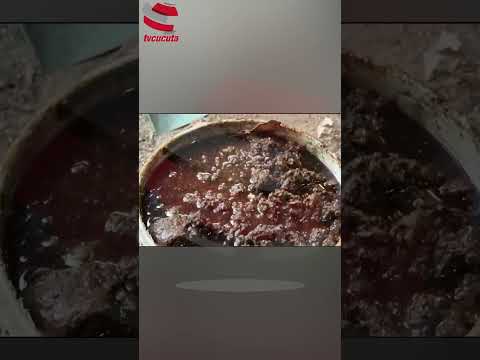 Golpe al n@rcotráfico en Villa del Rosario: desm@ntelan laboratorio para producir base de coca