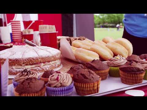 DoLittle Events video.