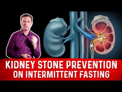 The Top SUPERFOODS for the Kidneys—Explained by Dr Berg