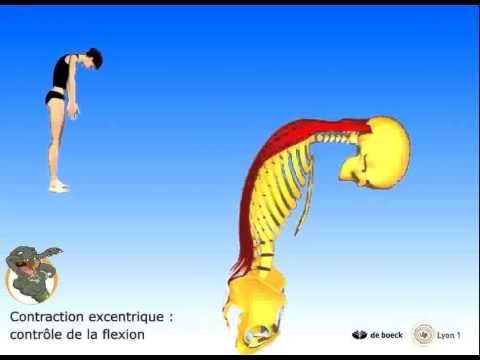 Pungere con osteoartrosi del ginocchio Mal di destra di nuovo a che fare