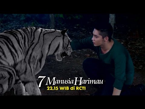7 MANUSIA HARIMAU : "Demi cinta kita, ubahlah wujudmu menjadi manusia lagi"