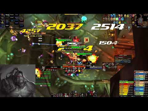 Fury Warrior Fathom Fathom-Lord Karathress POV