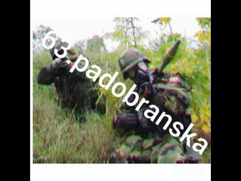 63.PADOBRANSKA BRIGADA