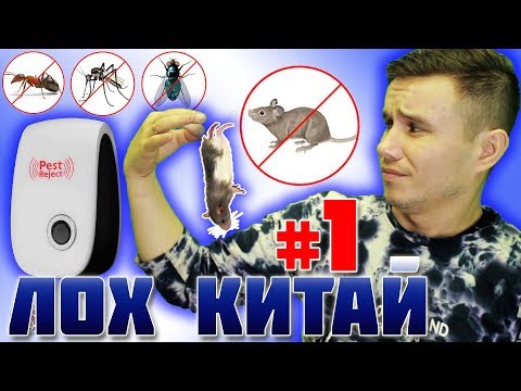 ЛОХ КИТАЙ#1 ЖИВ ли ХОМЯЧОК? проверка ГАДЖЕТОВ | Simple Show