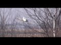 ZUA Mielec M18 Dromader Low Flybys And Departure FORMATION 23 03 2011