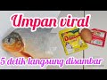 THE MOST ACCURATE DAILY BAWAL FISH BAIT MIX