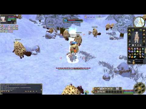 Let´s Play Insanity Flyff E018 - Speed - Leveln