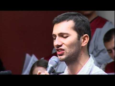 Matei Saracuti - Departe-ntr-un staul