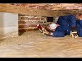 Free Termite Inspection Manasquan 732-349-0559 Ozane.com