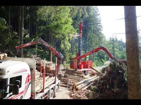 'A Day In The Forest' - Holzernte mit Seilkran Gebirgsharvester TST 600
