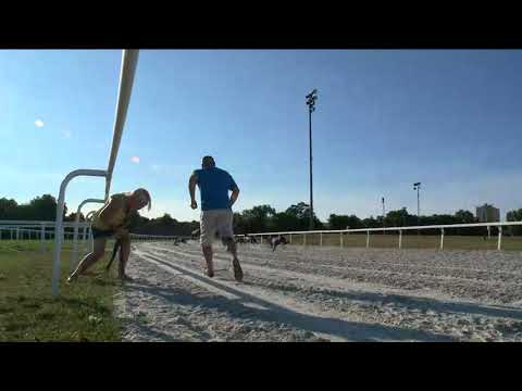 2018.08.12. Agár futam