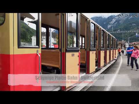 Cab ride Schynige Platte Bahn Switzerland | Train Driver view from Wilderswil | 4k 60fps