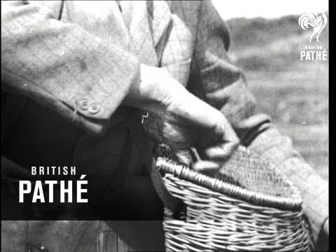 Salmon Fishing Issue Title Weight And Sea (1942)