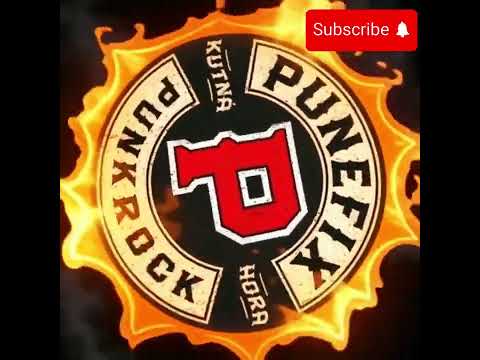 Punefix - Co bude dál