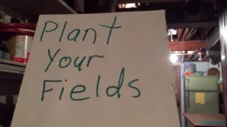 You plant your fields