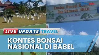 Kontes Bonsai Nasional di Kantor Gubernur Babel, Ada Bonsai Bernilai Ratusan Juta Rupiah