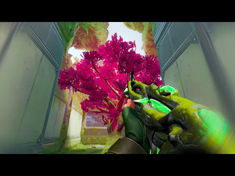 Gaia's Vengeance - VANDAL SKIN SHOWCASE | VALORANT ASMR