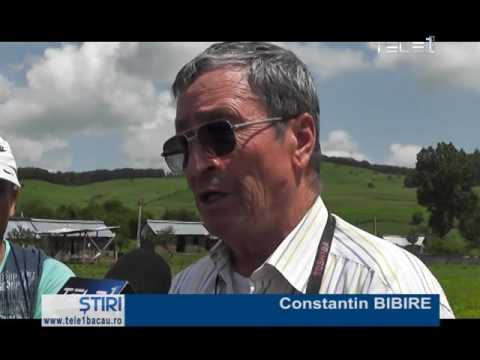 Mita la Ungureni Bacau