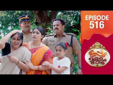 Uppum Mulakum 3 | Flowers | EP #516