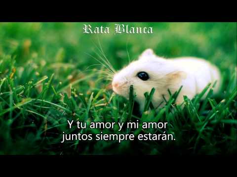 Rata Blanca - El Sueño De La Gitana (Letra Lyrics) HD.