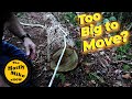 How To Move Heavy Logs No Tools Shorts