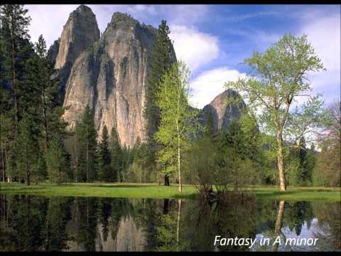 Thomas Åberg: Fantasy in a minor (Marco Lo Muscio: organ)