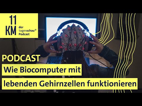 Wie Biocomputer mit lebenden Gehirnzellen funktionieren I 11KM - der tagesschau-Podcast