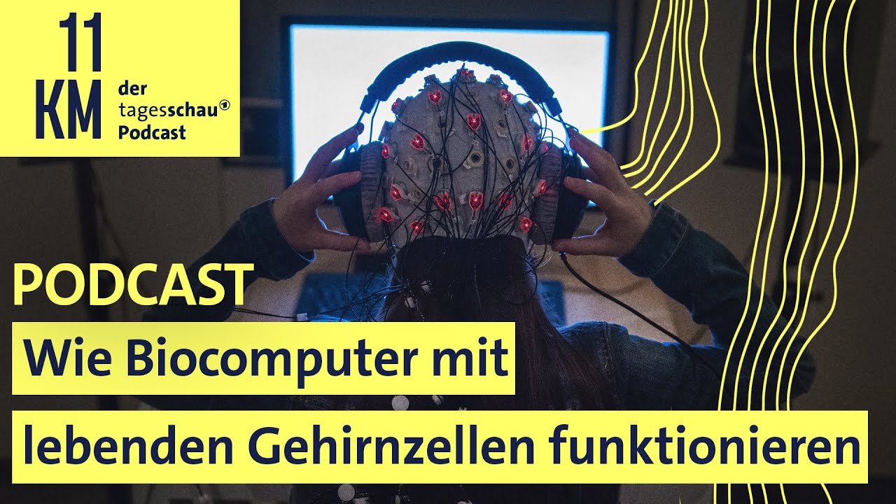 Ab in die Zukunft? - Wie Biocomputer mit lebenden Gehirnzellen funktionieren