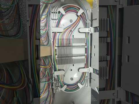 Fiber Splicing Arrangement in Tray #fiber #viral #shortvideo #shorts #splicing