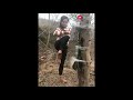 Kung Fu Girl - Amazing training