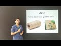 Trinity Social Studies Agriculture Part I By Ms Jesslin