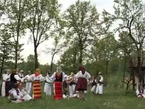 Nituca Iusco   Zi Mihai cu cetera