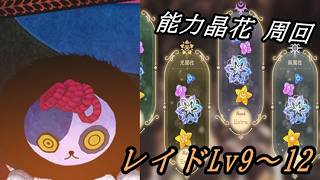 【まどドラ】リンクレイド、能力晶花周回 配信【2026/5/31】