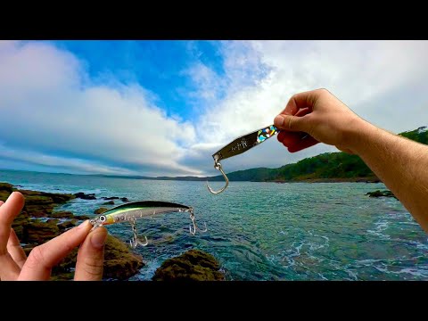 Are Malosi lures worth the money??? (comparing Malosi lures to halo, Daiwa and more!)