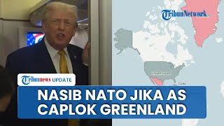 Ajudan Trump Sebut Tak Ada Negara yang Berani dengan AS Jika Trump Berhasil Rebut Greenland