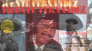 Vicente Fernandez-De Que Tamano Me Quieres