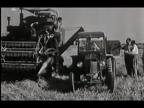 Zemědělství 1955 Československý Filmový týdeník